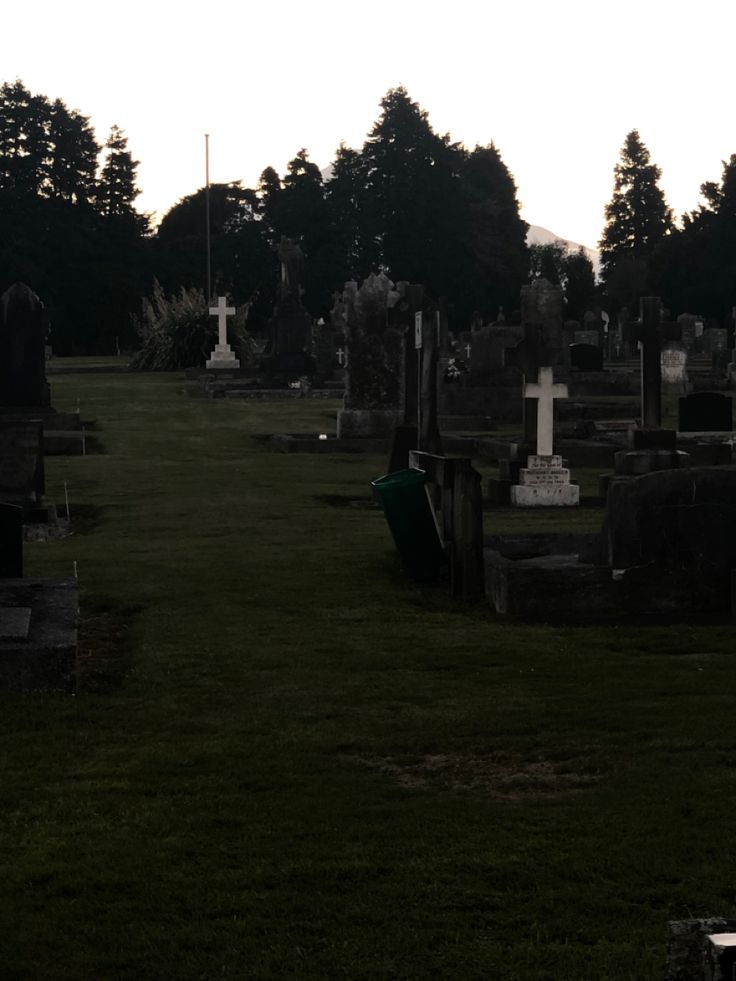 a cemetery with many headstones and trees in the background