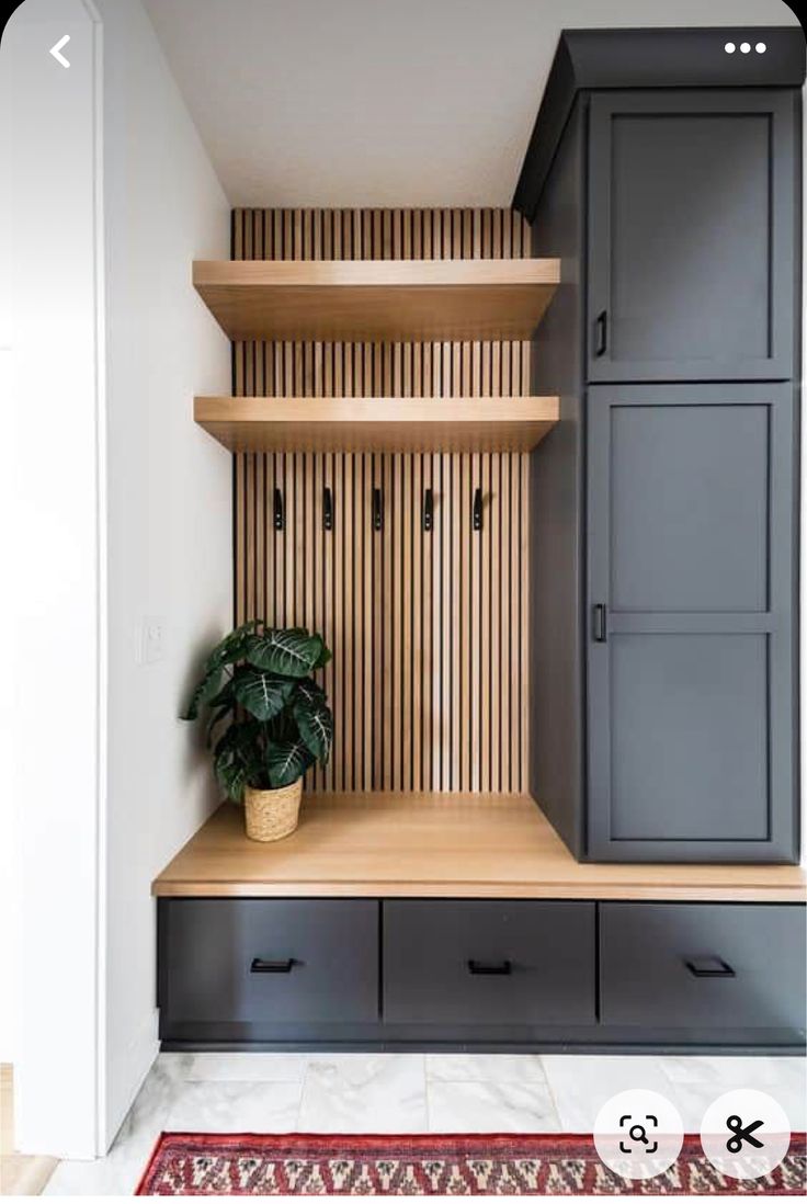 a room with some shelves and drawers in it, next to a potted plant