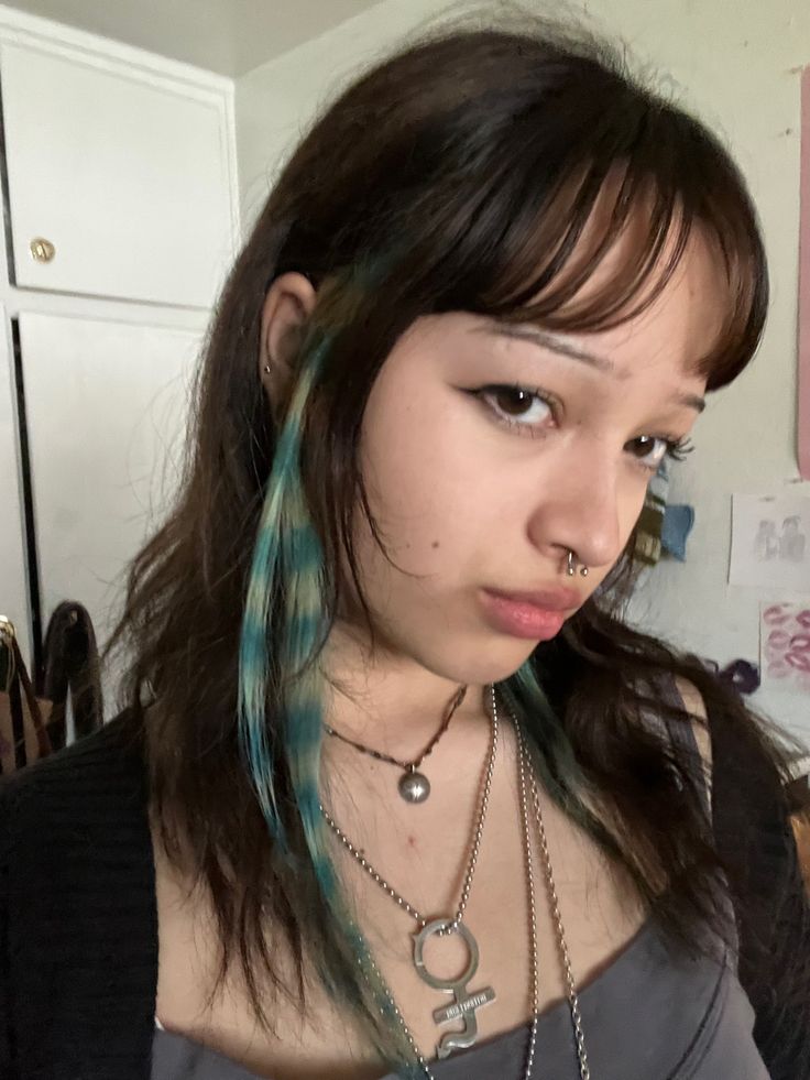 Stripes Dyed Hair, 2 Dyed Strands Of Hair, Color Streaks In Curly Hair, Brown Hair With A Streak Of Color, Dyed Section Of Hair, Blue And Green Hair Highlights, Hidden Colored Hair, Bleached Skunk Stripe Hair, Easy Dyed Hair Ideas