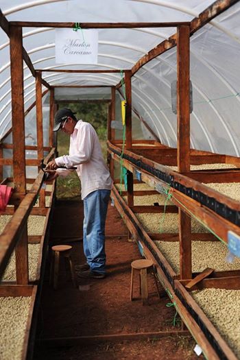 a man standing inside of a greenhouse filled with lots of dirt