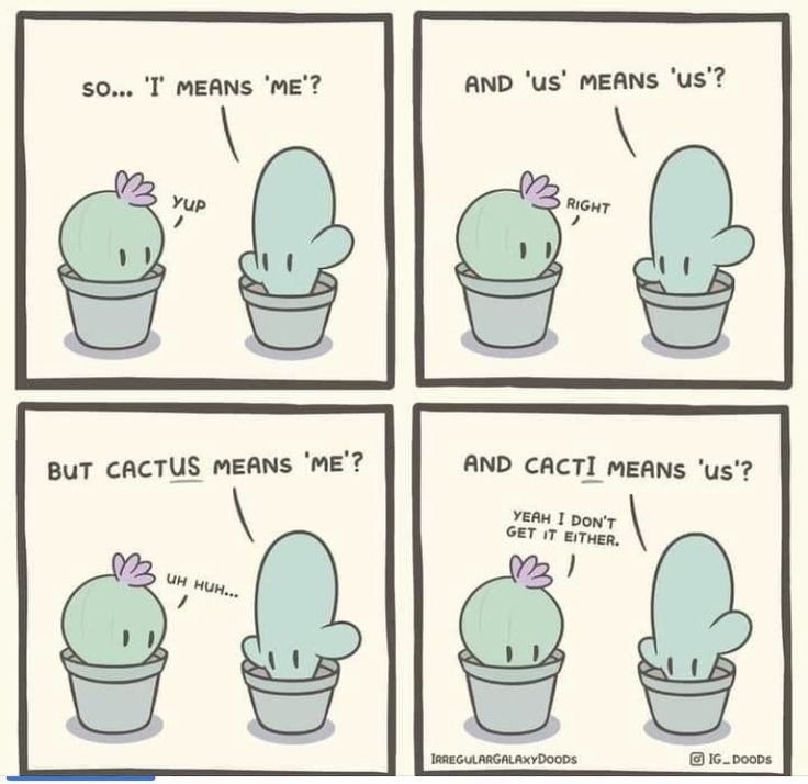 the comic strip shows how cactuses are in pots