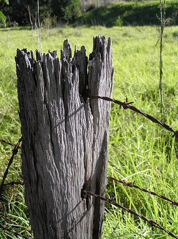 an image of a post that has been placed in the grass with a quote on it