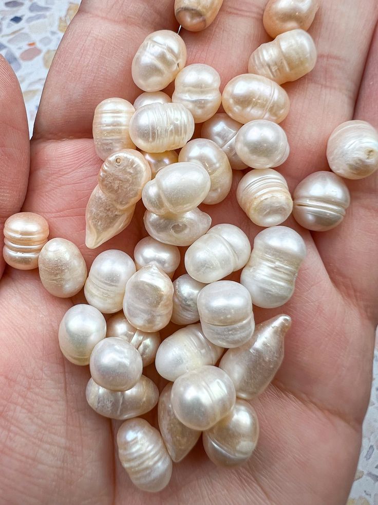 a person holding several different types of pearls in their hands, some with shells on them