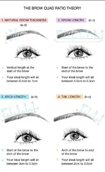 Eyebrow ratio Perfect Eyebrows Tutorial, Perfect Eyebrow Makeup, Permanente Make-up, Eyebrow Shapes, Eyebrow Makeup Tutorial, Threading Eyebrows, Eyebrow Tutorial, Perfect Eyebrows, Microblading Eyebrows