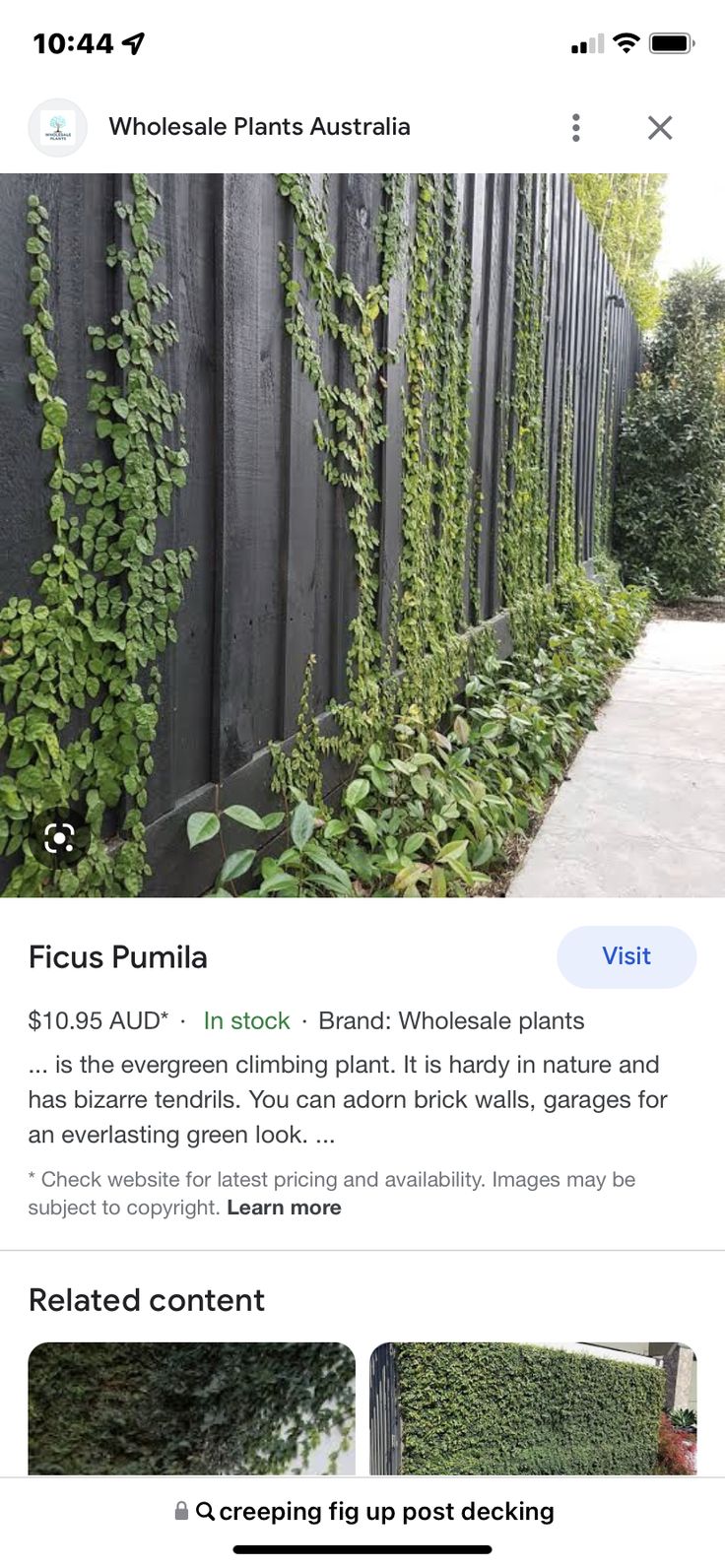 an image of a website page with plants growing on the fence and in front of it