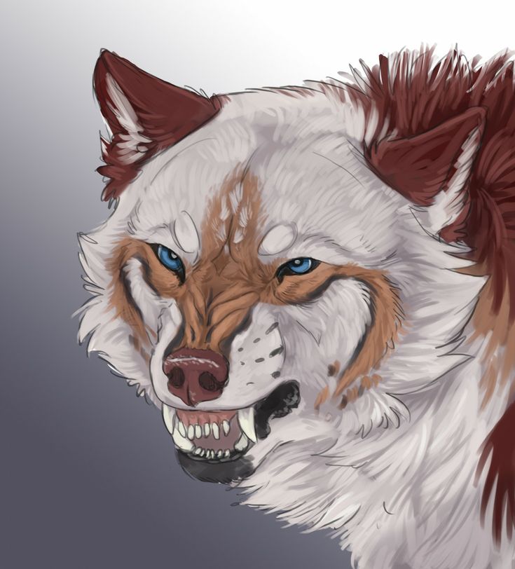 a drawing of a wolf with blue eyes and brown fur on it's head