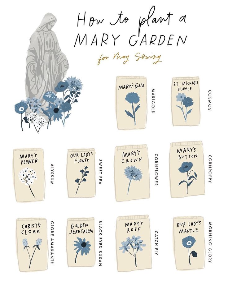 how to plant a mary garden for spring