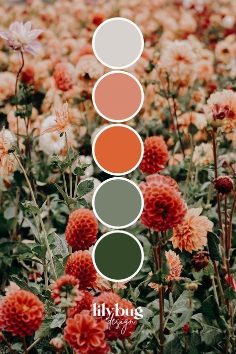 a field full of flowers with different colors in the center and bottom half of each flower