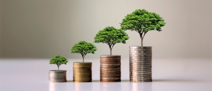 three stacks of coins with trees growing out of them