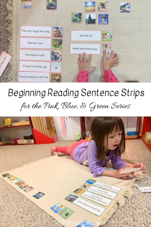 How to Teach Writing & Reading the Montessori Way – MOMtessori Life Primary Montessori, How To Teach Writing, Best Printables, Teach Writing, Middle Sounds, Montessori Language, Man Hug, Sentence Building, Trick Questions