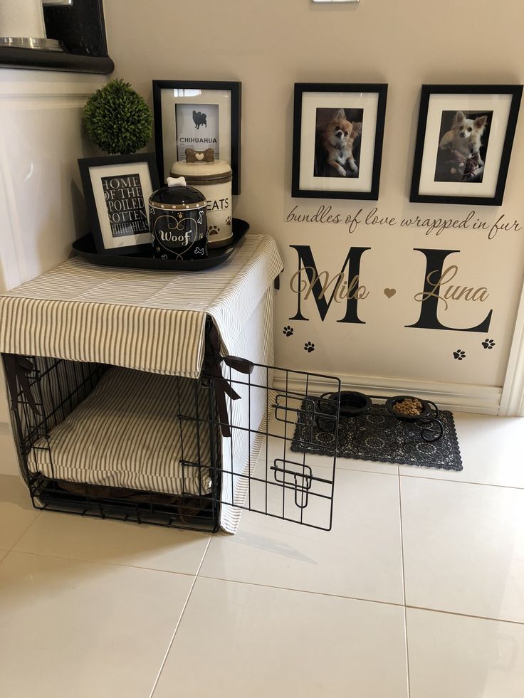 a dog crate sitting next to a wall with pictures on it