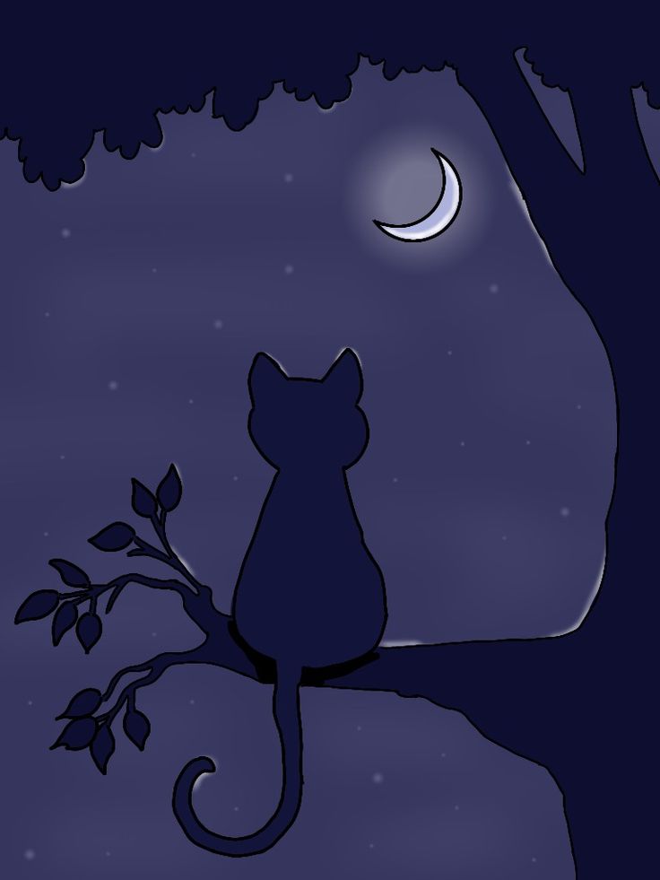 a black cat sitting on top of a tree branch under a moon filled night sky