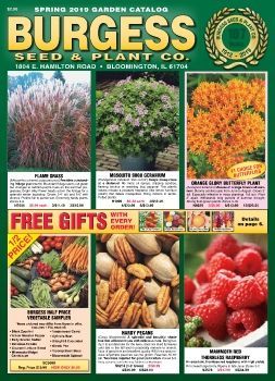 the flyer for burges seed and plant co