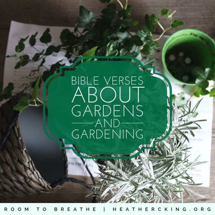 the bible verses about gardens and gardening