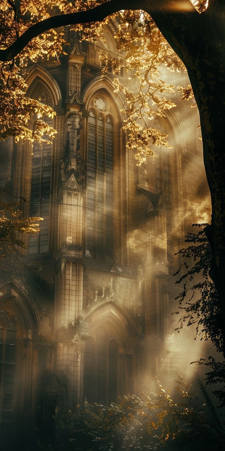 an image of a gothic church in the foggy forest with sunlight streaming through it