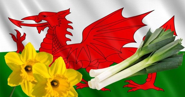 daffodils, celery and onions in front of the flag of wales