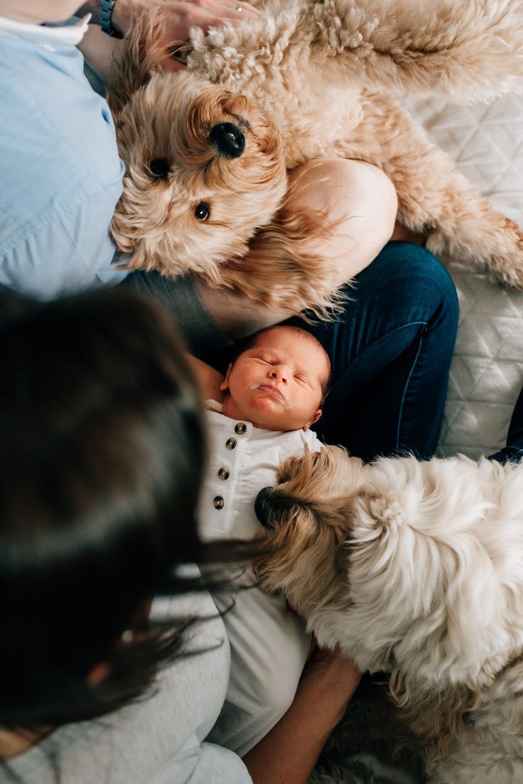 a woman holding a baby in her arms while laying next to two dogs on a bed