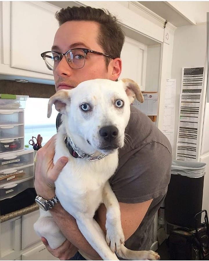 a man holding a white dog in his arms and looking at the camera with blue eyes