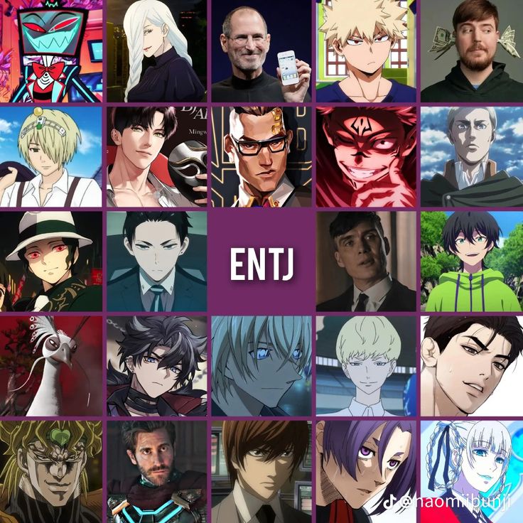 Entj Personality Characters, Entj 3w4, Entj Anime Characters, Entj Male, Entj Characters, 16 Personalities Enfp, Intp Characters, Anime Mbti, Intp Entj