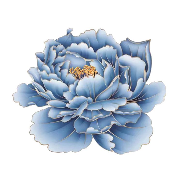 a large blue flower on a white background