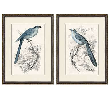 two framed pictures with birds on them, one is blue and the other is white