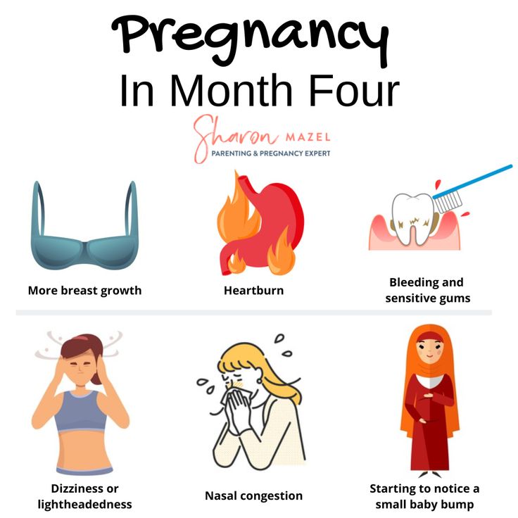 the four stages of pregancy in month four, including breasting and oral hygiene