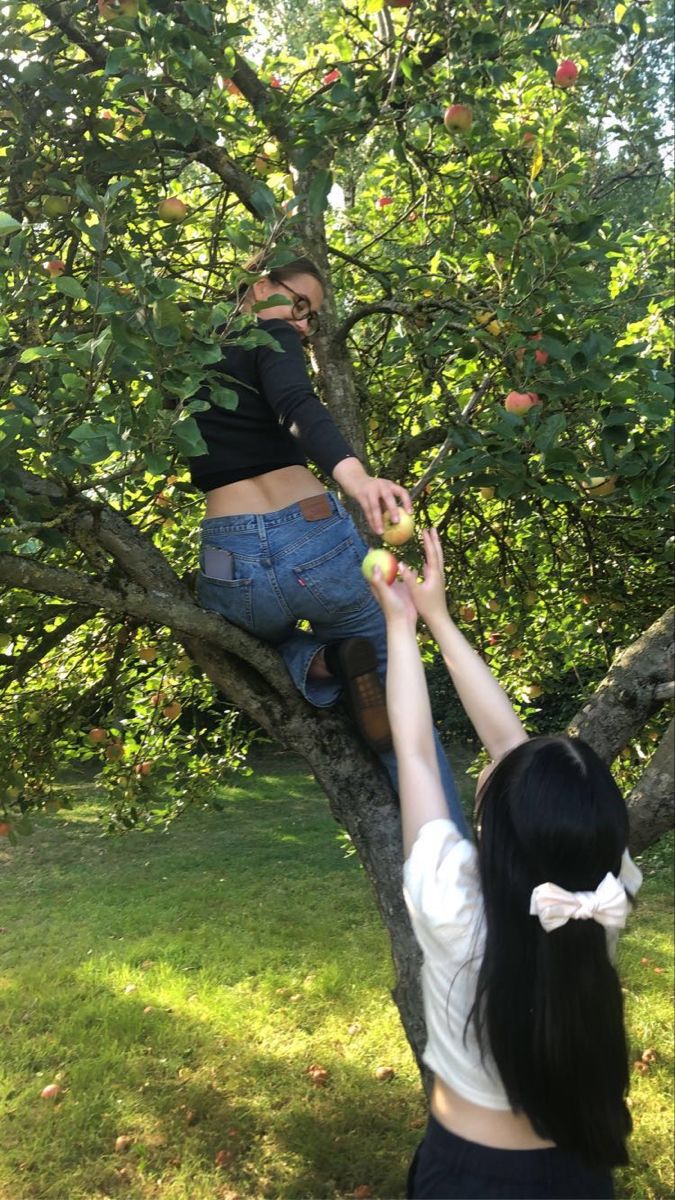 two women reaching for apples in an apple tree