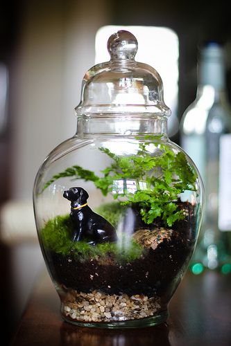 a glass jar filled with plants and a dog figurine