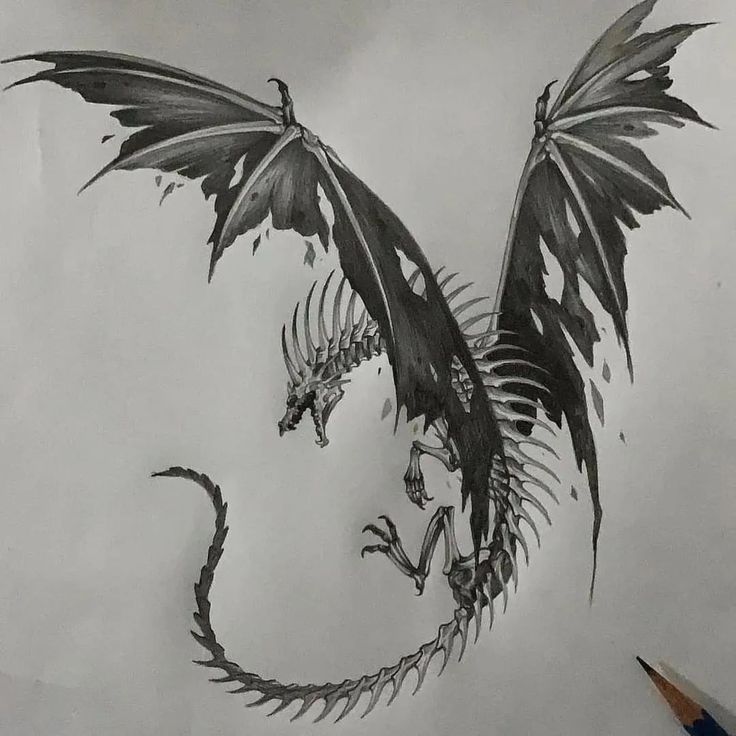 a pencil drawing of a dragon with wings