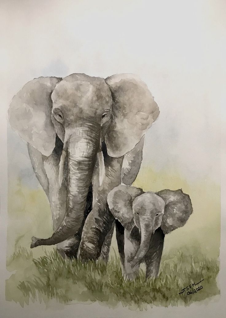 an elephant and her baby are standing in the grass