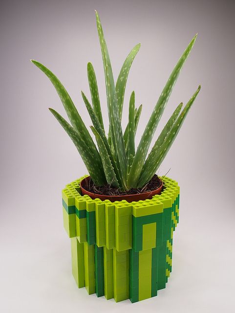 a plant in a lego style pot with green and yellow squares on the bottom half