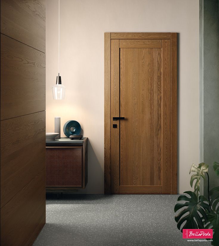 a wooden door in a room next to a plant