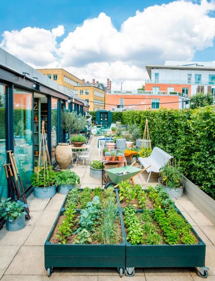 an outdoor garden with lots of plants and potted plants on the side of it