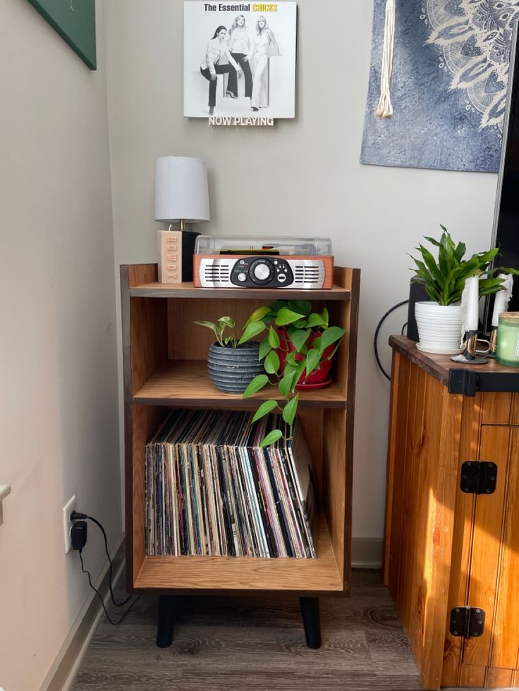 a record player is sitting on top of a shelf next to a potted plant