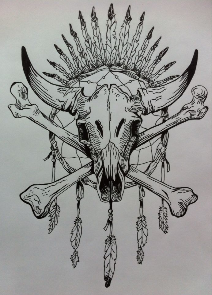 a drawing of a bull skull with feathers and arrows