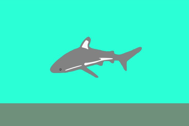 an image of a shark swimming in the ocean on a blue and green background that looks like it is floating