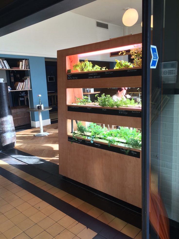 an indoor vegetable garden is displayed in a store window with the light on it's side