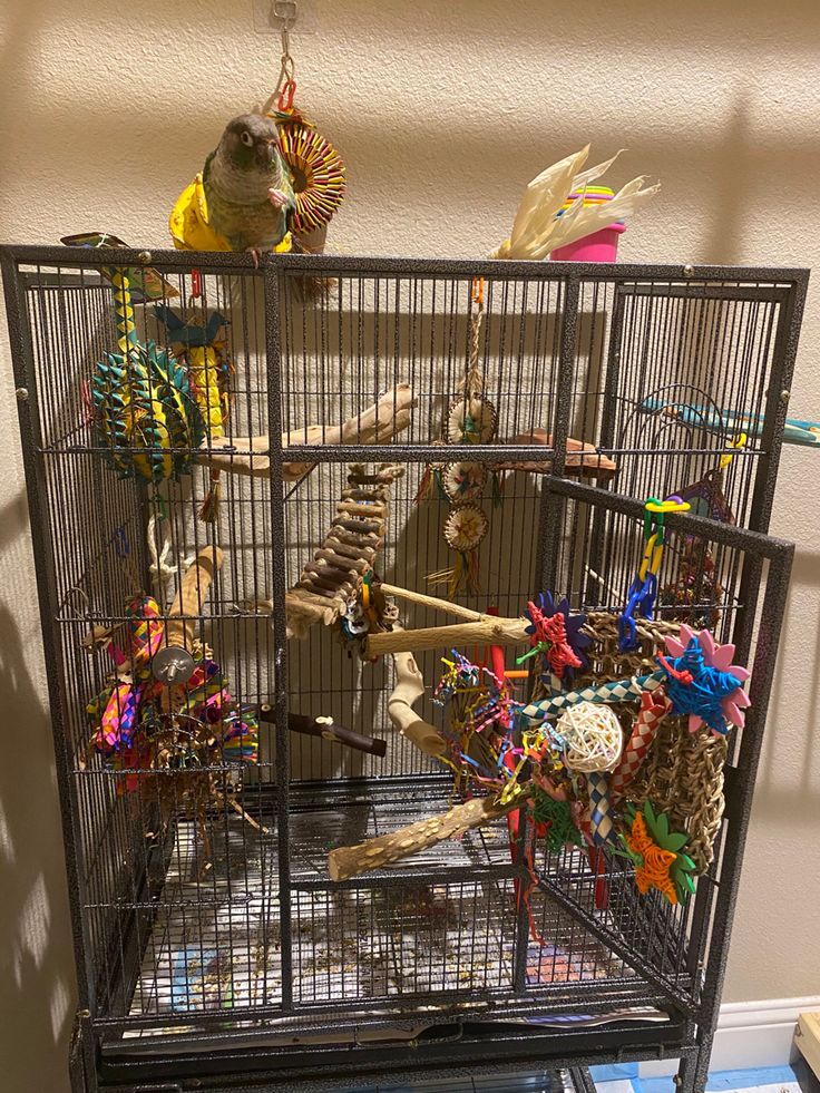 a bird cage filled with lots of different types of toys and feathers on top of a table