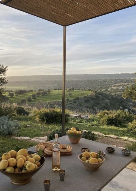 a table with bowls of fruit on top of it next to a covered patio area