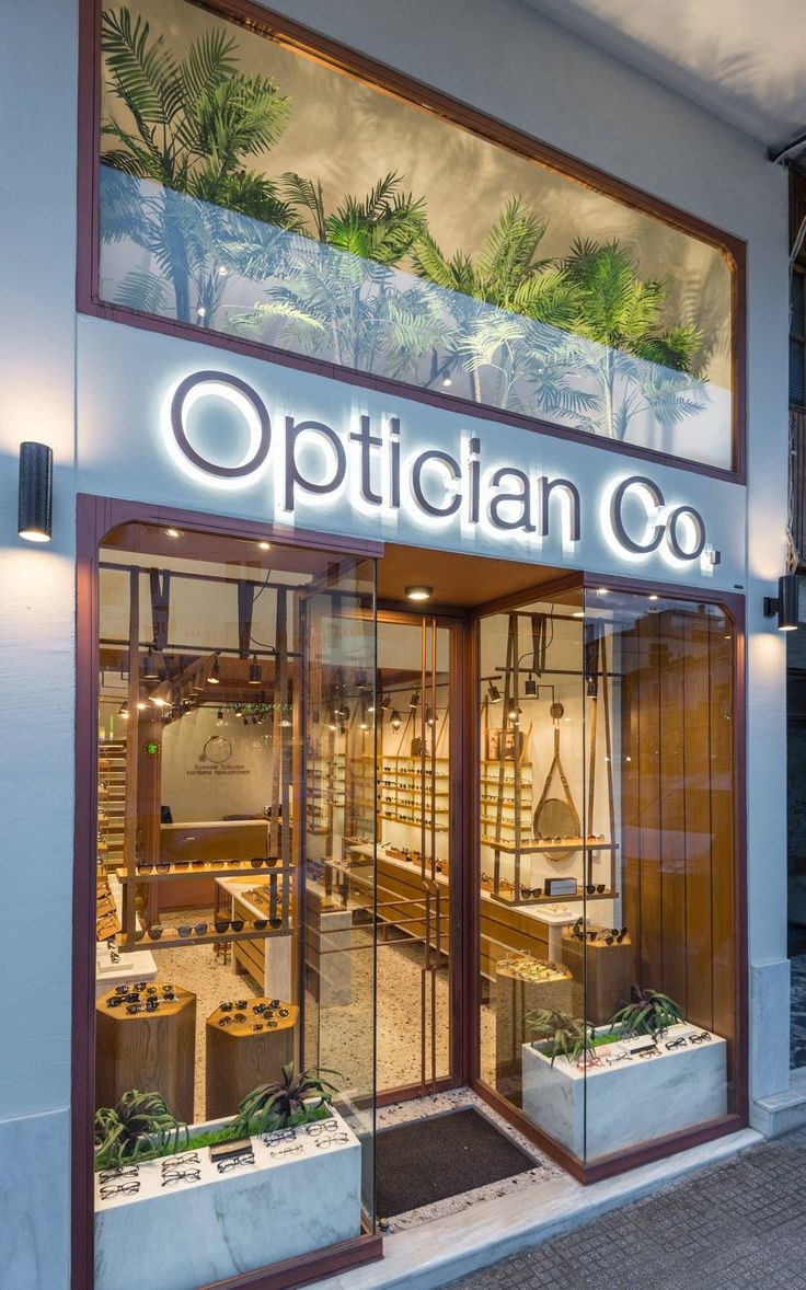 optician's store front with glass windows and palm trees in the window display