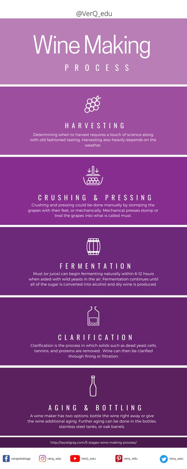 the wine making process is shown in purple and white, as well as other things