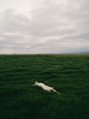 a dead animal laying in the middle of a large grassy field under a cloudy sky