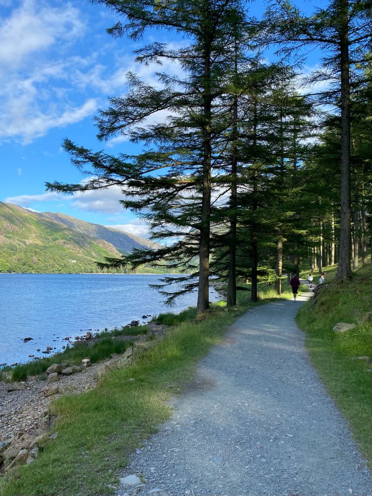 there is a path that leads to the water and trees on both sides of the trail