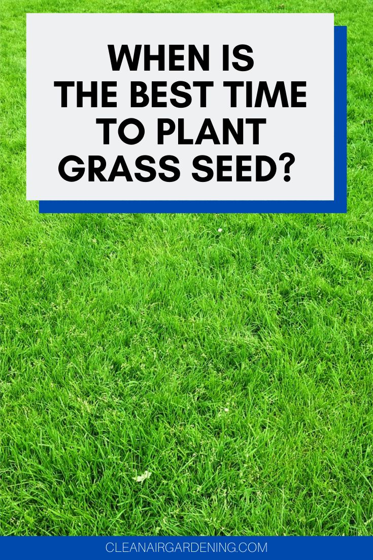 a sign that says when is the best time to plant grass seed?