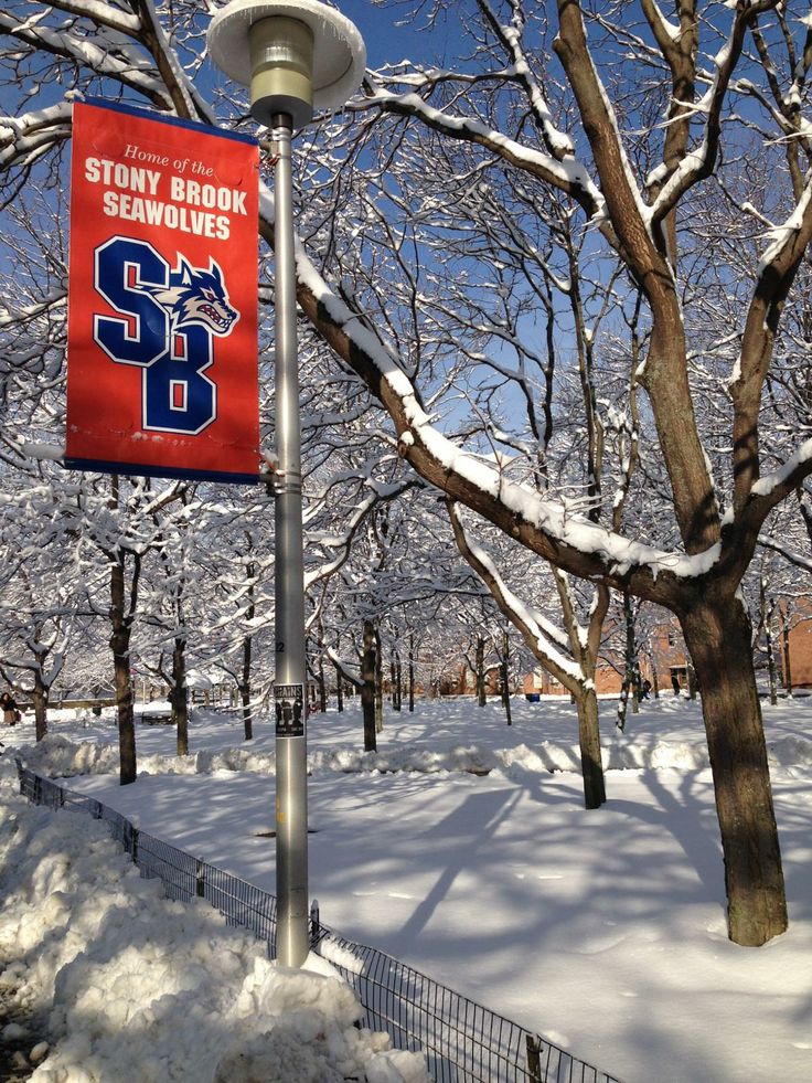 a street sign is covered in snow near trees