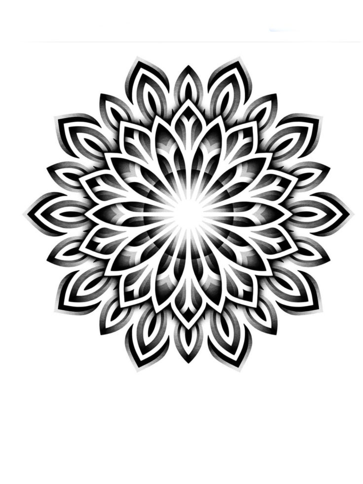 a black and white drawing of a flower