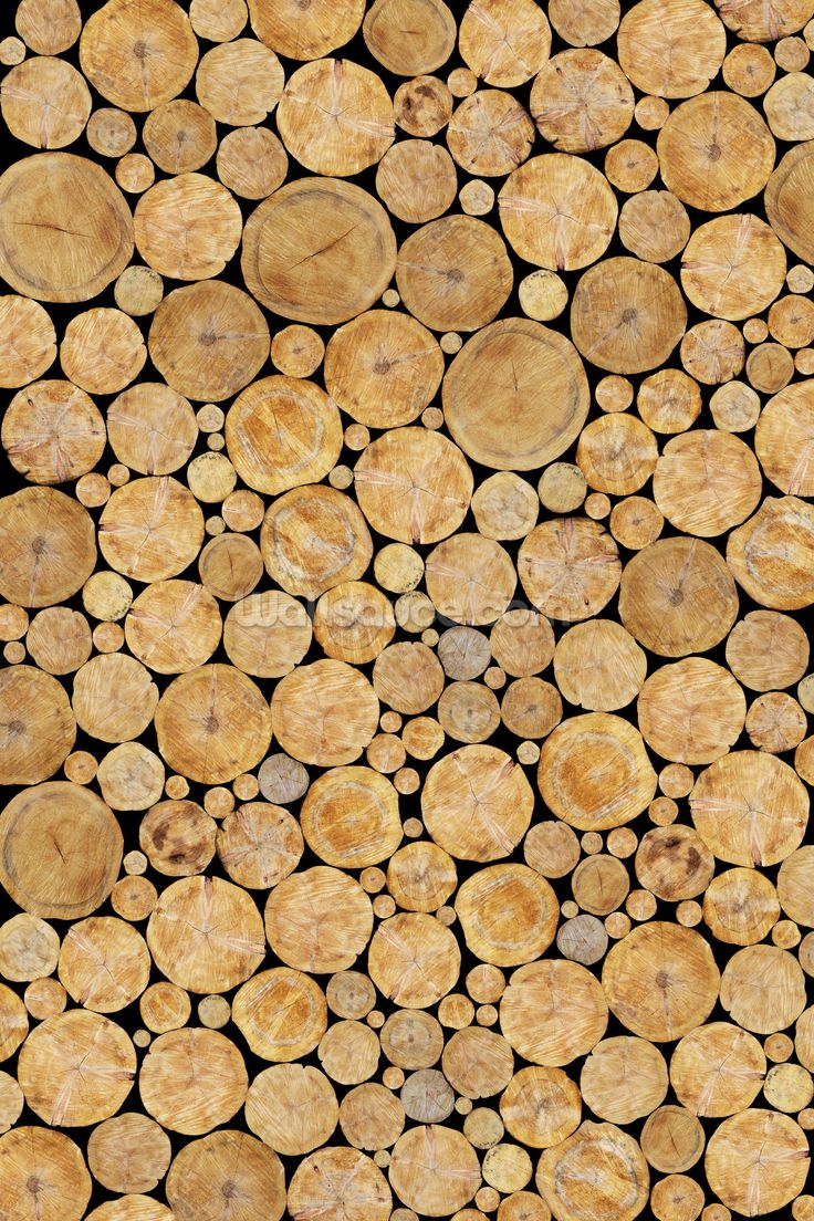 wood logs stacked on top of each other in different sizes and colors - stock photo - images