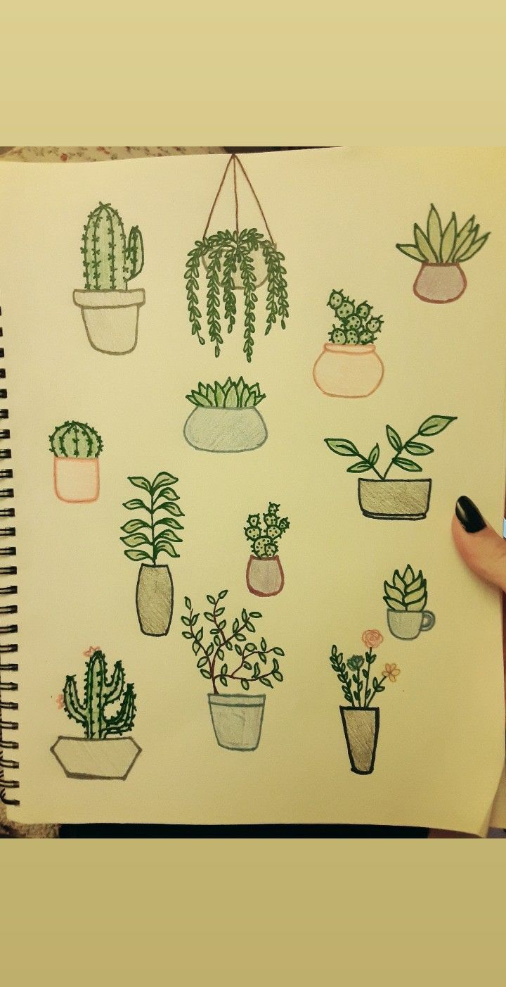 a person holding up a drawing with potted plants on it