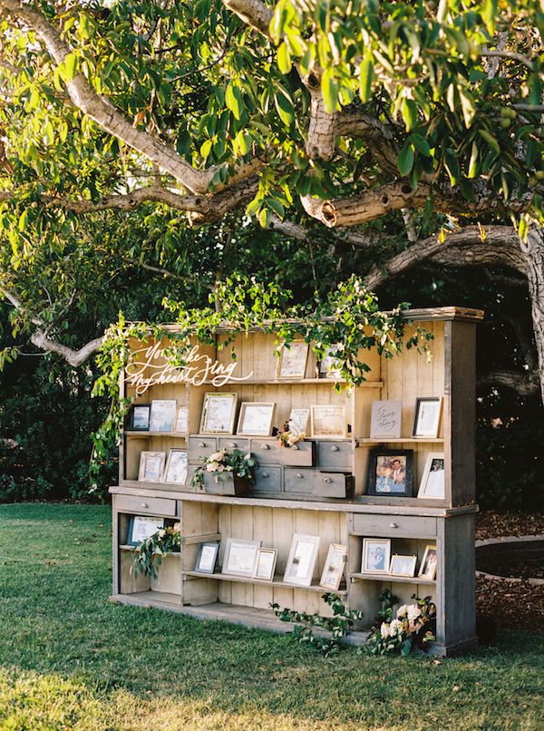 an old book shelf with books on it under a tree