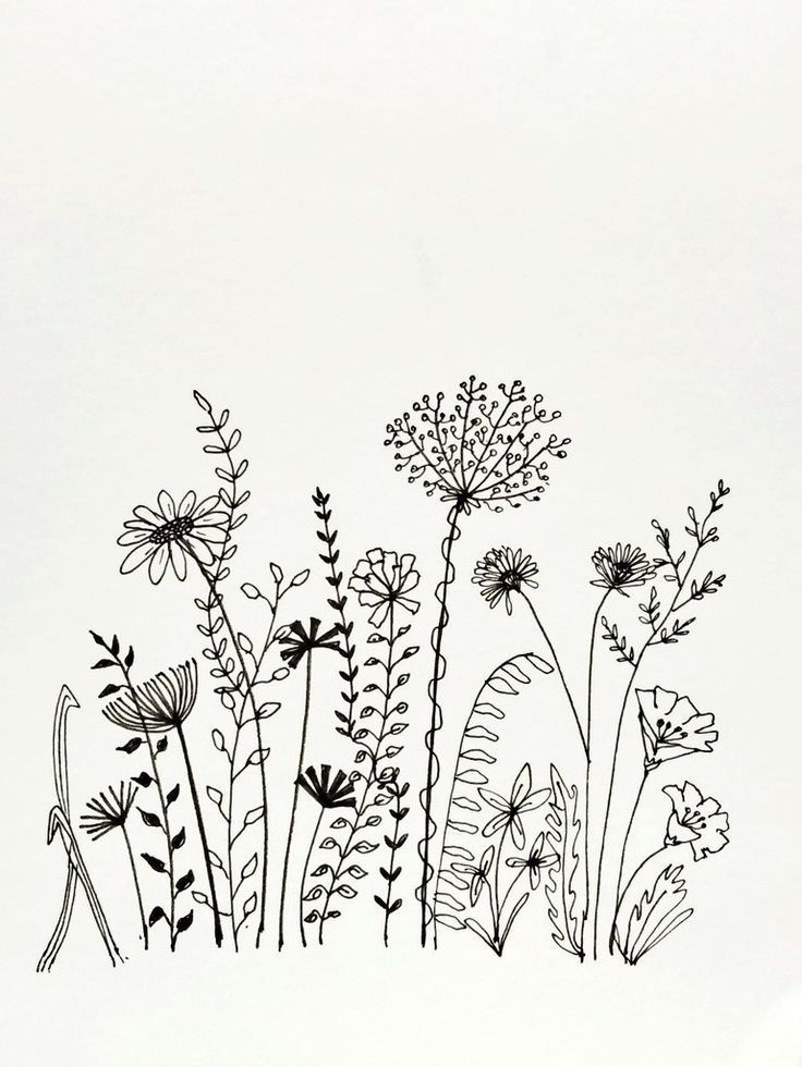 black and white drawing of wildflowers against a white background with the words,